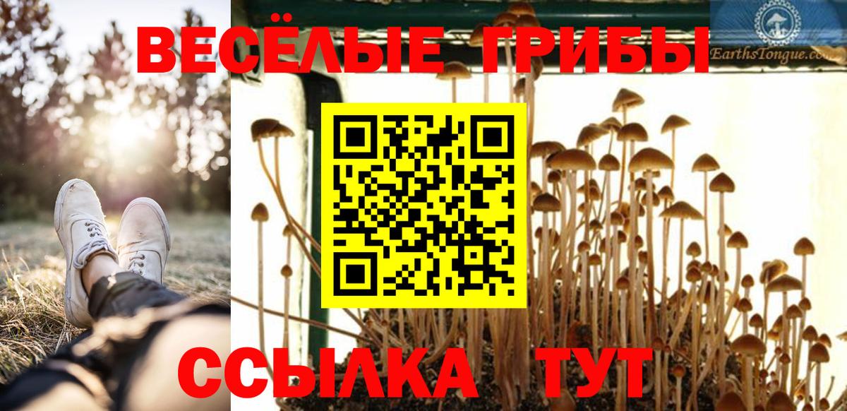 Галлюциногенные грибы мухоморы  Галлюциногенные грибы MAGIC MUSHROOMS  Люберцы  Вход с VPN 
